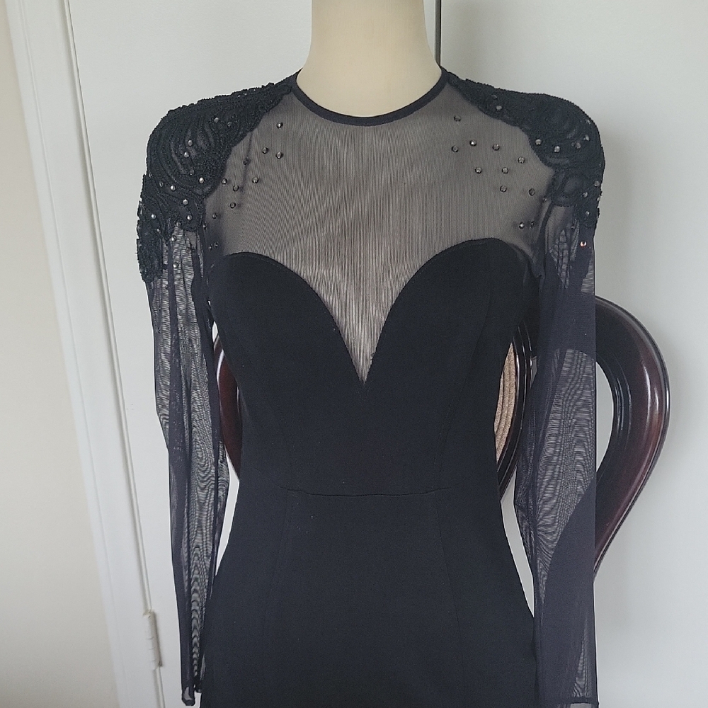 Elegant Black Sheer Sleeve Dress